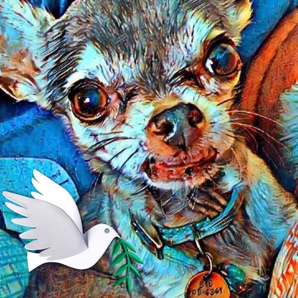 Meet your Posher, Tammy - Picture 1 of 1